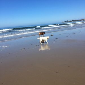 Meet your Posher, Barb